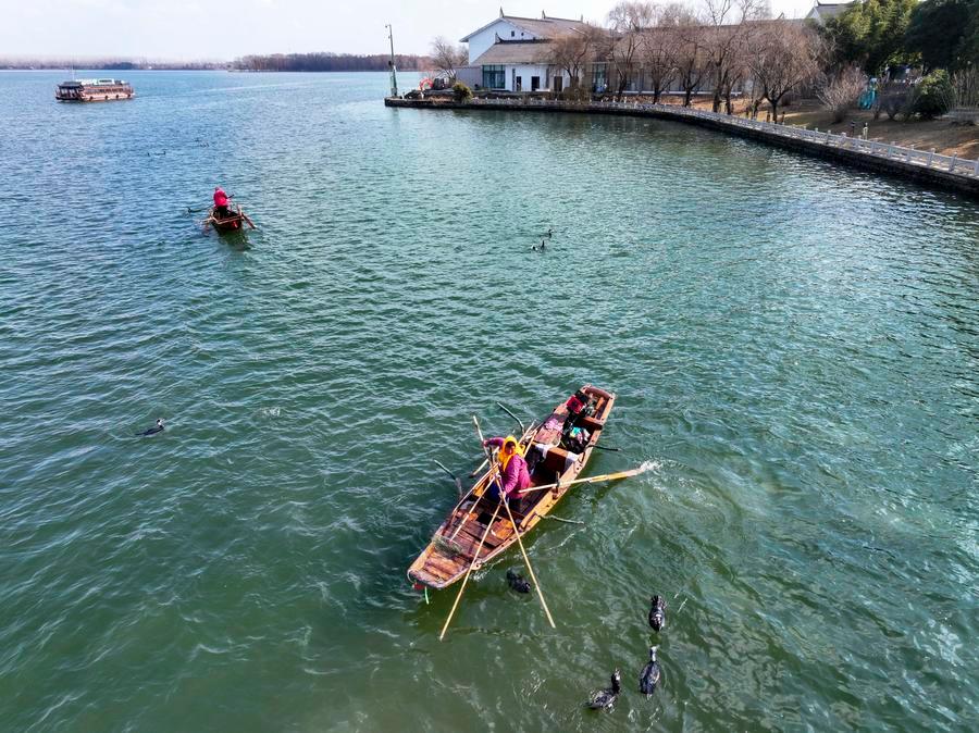 20260201c71bbfa8bb3947dea92d08626916d272 XxjwsfF000006 20260201 CBMFN0A001