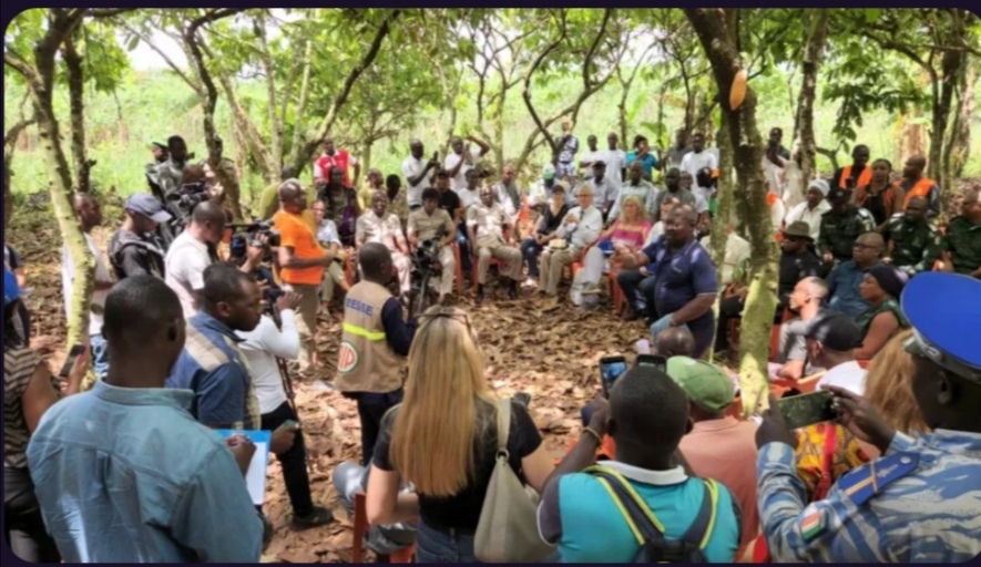 69e664d5 2160 41e8 96ef e1eadc5761ab