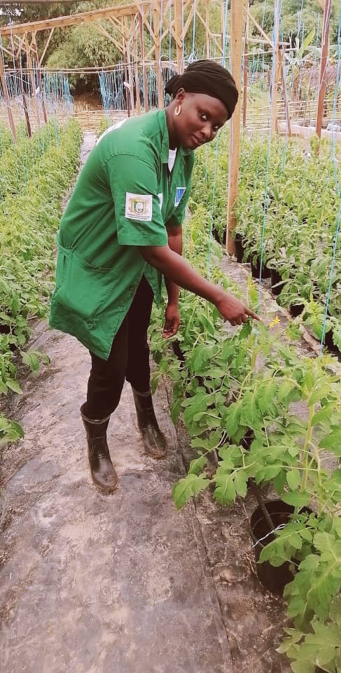 WhatsApp Image 2020 12 17 at 15.32.10