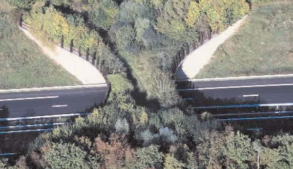 Biodiversit&eacute;-Corridor &eacute;cologique entre les for&ecirc;ts de C&ocirc;te d&rsquo;Ivoire et du Lib&eacute;ria : Le projet d&rsquo;&eacute;tude de faisabilit&eacute; adopt&eacute;