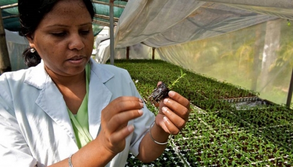 Forum annuel des organismes africains de financement: quels financements pour la recherche scientifique  en Afrique?