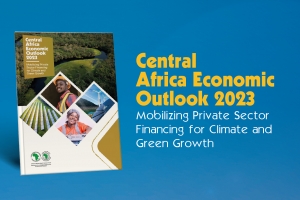 Perspectives &eacute;conomiques 2023 : l&rsquo;Afrique centrale a enregistr&eacute; la meilleure performance &eacute;conomique