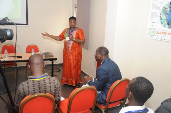 La pr&eacute;sentation de mFarms par Mme Garcia Honvoh.