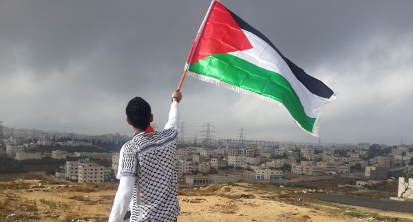 Palestine: L&rsquo;OCI soumet des d&eacute;clarations &eacute;crites &agrave; la Cour internationale de justice