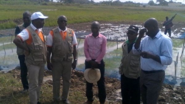 C&ocirc;te d&rsquo;Ivoire : L&rsquo;ANADER veut r&eacute;aliser une unit&eacute; de production d&rsquo;engrais,  bient&ocirc;t la production de semences de riz par &agrave; Grand-Lahou
