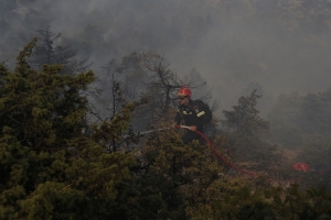 La France touch&eacute;e &agrave; son tour par les feux de for&ecirc;t