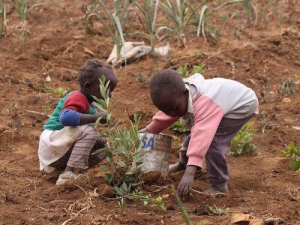 Changement climatique : El Ni&ntilde;o menace la vie de pr&egrave;s d&rsquo;un million d&rsquo;enfants africains, selon l'UNICEF