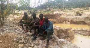 Des orpailleurs clandestins appr&eacute;hend&eacute;s dans la for&ecirc;t de Go-Bodienou ( cr&eacute;dit AIP)