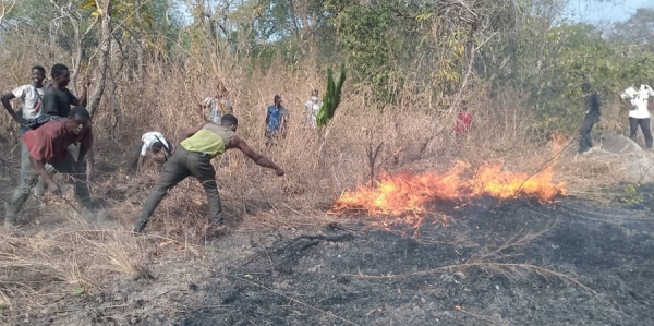 C&ocirc;te d'Ivoire : les feux de brousse d&eacute;truisent 5 000 hectares de cultures, 94 habitations, huit villages et causent 16 d&eacute;c&egrave;s, selon le colonel Banga Anvoh