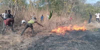 C&ocirc;te d'Ivoire : les feux de brousse d&eacute;truisent 5 000 hectares de cultures, 94 habitations, huit villages et causent 16 d&eacute;c&egrave;s, selon le colonel Banga Anvoh