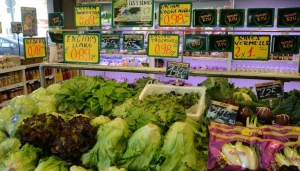 Le co&ucirc;t &eacute;lev&eacute; d'une alimentation saine &agrave; bl&acirc;mer pour la malnutrition