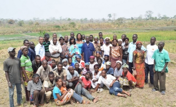 C&ocirc;te d'Ivoire : un village se lance dans la production de riz de luxe, 2500 T pour commencer