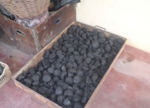 C&ocirc;te d&rsquo;Ivoire : A Aff&eacute;ry, on cuisine sur du charbon fabriqu&eacute; &agrave; partir de r&eacute;sidus de produits agricoles