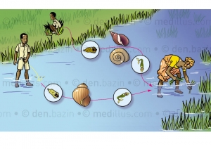 C&ocirc;te d&rsquo;Ivoire : Traitement gratuit contre la bilharziose pour des &eacute;l&egrave;ves