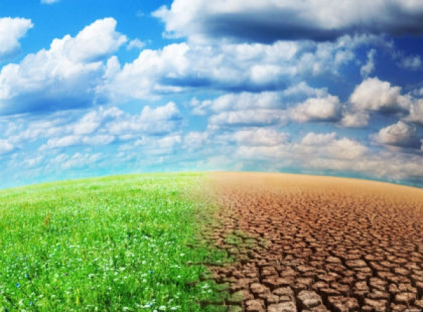 Climat : L&rsquo;Afrique de l&rsquo;Ouest en route pour la COP21 &agrave; Paris