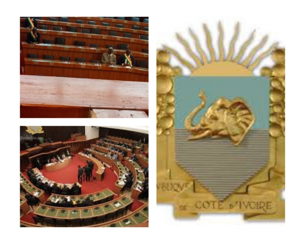 C&ocirc;te d'Ivoire : des d&eacute;put&eacute;s PDCI-RDA quittent la salle, lors d'une session ordinaire  de l'Assembl&eacute;e nationale