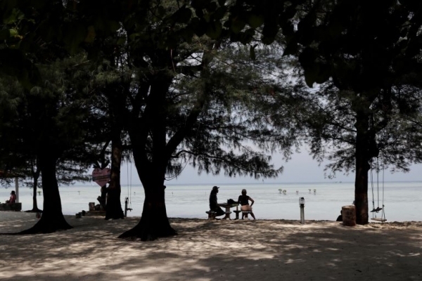 Le Gabon certifi&eacute; au cr&eacute;dit carbone