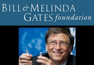 Des leaders mondiaux dont Bill Gates mettent en place un Conseil pour contribuer &agrave; mettre fin au paludisme