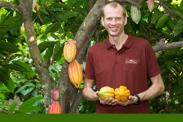 Les for&ecirc;ts, le cacao et les agriculteurs - trouver le juste &eacute;quilibre