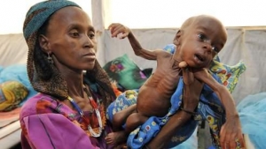 Sahel : 4,8 millions de personnes menac&eacute;es d'ins&eacute;curit&eacute; alimentaire (UN News)