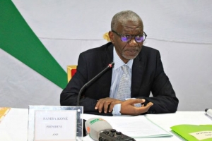 C&ocirc;te d'Ivoire/ Presse : M&eacute;vente des journaux, distribution, hausse des co&ucirc;ts de l&rsquo;impression, subvention de l&rsquo;Etat: &laquo;Il faut une concertation &eacute;largie &raquo; (ANP)