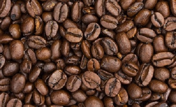 Un programme de 8 milliards pour la relance de la fili&egrave;re caf&eacute;i&egrave;re en C&ocirc;te d&rsquo;Ivoire