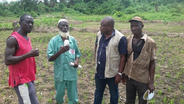 Niankoury Benson, ing&eacute;nieur &agrave; Callivoire explique aux riziculteurs, que les mauvaises semences justifient le faible rendement de riz (Photo Aip 26/03/2017)