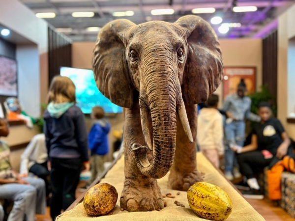 27e Edition du Salon du Chocolat de Paris : La C&ocirc;te d&rsquo;Ivoire montre le savoir-faire de ses artisans chocolatiers