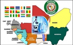 Recherche et de l&rsquo;Innovation : Remises de prix aux deux Consortiums laur&eacute;ats de l&rsquo;&eacute;dition 2020 du Programme PARI