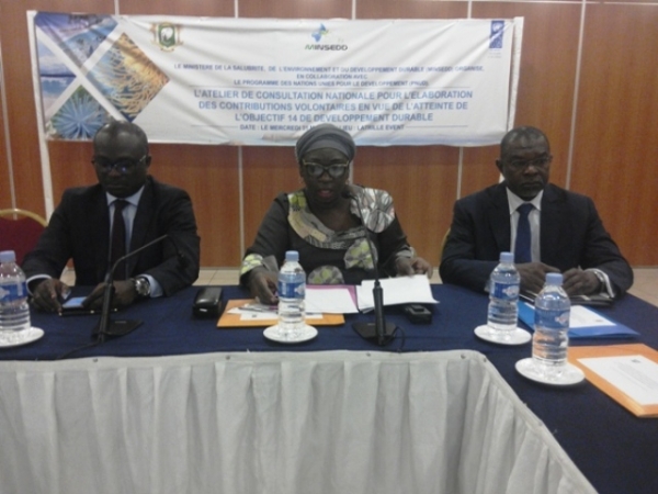 La repr&eacute;sentante de la ministre de la salubrit&eacute;, de l'environnement et du d&eacute;veloppement durable, Kaba Nassere , au centre ( cr&eacute;dit AIP)