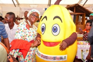 SARA 2015 : des stands divers pour une diversit&eacute; d&rsquo;ambitions