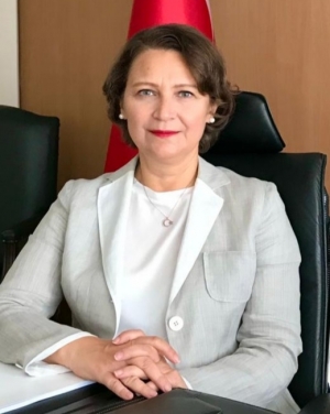 Turquie : Les m&eacute;thodes terroristes non conventionnelles de FETO constituent une menace pour toutes les d&eacute;mocraties dans le monde