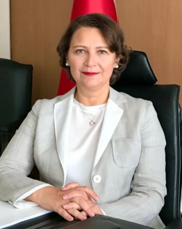 Turquie : Les m&eacute;thodes terroristes non conventionnelles de FETO constituent une menace pour toutes les d&eacute;mocraties dans le monde