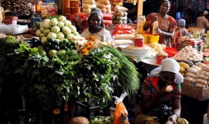 C&ocirc;te d&rsquo;Ivoire : Un r&eacute;seau d&rsquo;organisations de la soci&eacute;t&eacute; civile contre la malnutrition install&eacute; &agrave; Abidjan