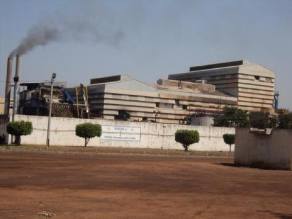 Gr&egrave;ve &agrave; la Sucaf Ferk&eacute; : 2 morts dans des affrontements entre forces de l&rsquo;ordre et gr&eacute;vistes
