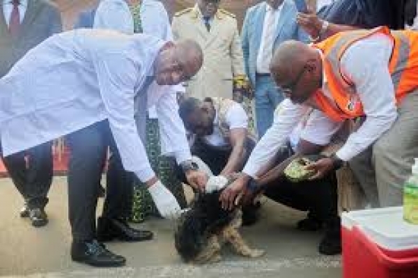 C&ocirc;te d&rsquo;Ivoire : la rage toujours une menace, le gouvernement intensifie la pr&eacute;vention