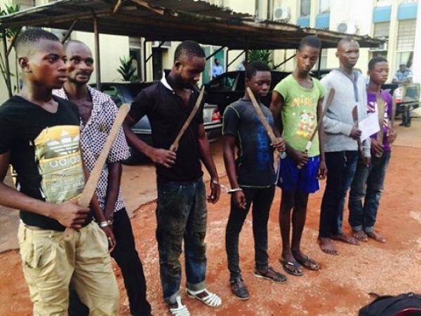 C&ocirc;te d&rsquo;Ivoire-S&eacute;curit&eacute; : Les &laquo; microbes &raquo; seront bient&ocirc;t resocialis&eacute;s, annonce le gouvernement