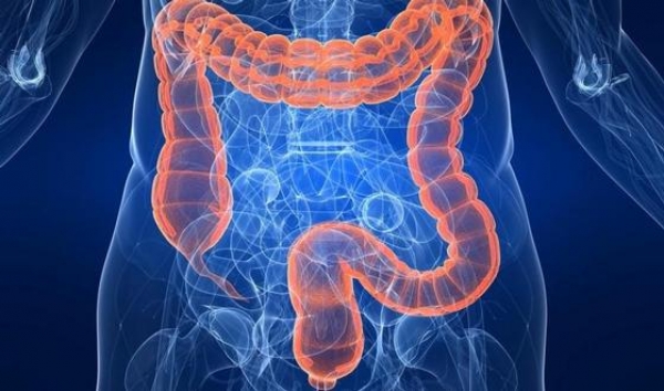 Sant&eacute;: 80 % des Ivoiriens souffrent de la colopathie fonctionnelle