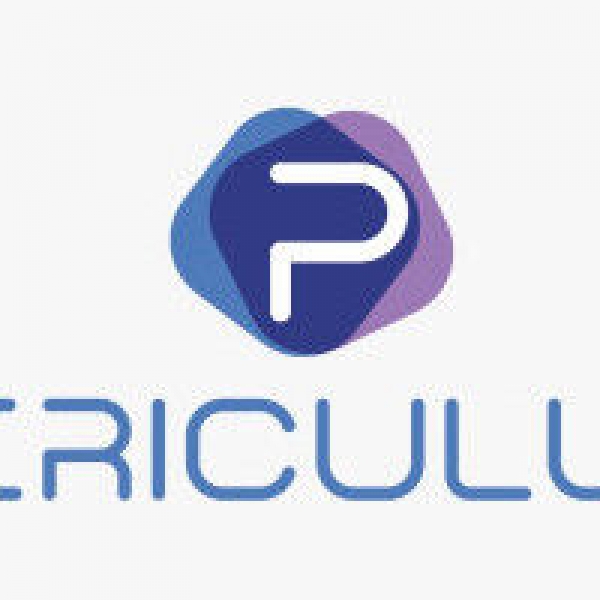 La fintech canadienne Periculum, lanc&eacute;e officiellement au Nigeria