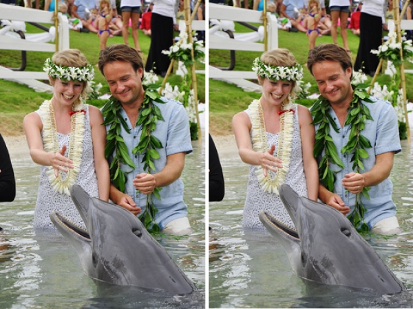 Mariage hawaien d' Alex et Lisa