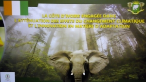 COP22 : La C&ocirc;te d&rsquo;Ivoire engag&eacute;e dans l&rsquo;action pour l&rsquo;att&eacute;nuation et l&rsquo;adaptation aux effets du changement climatique