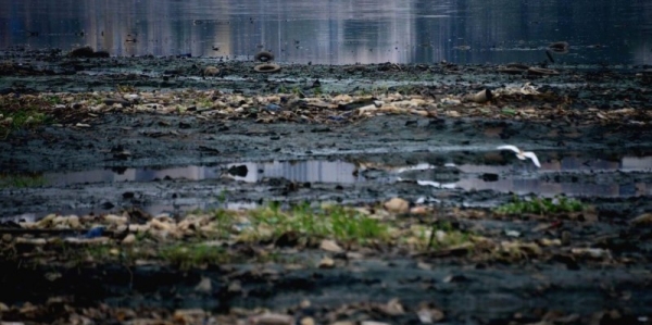 C&ocirc;te d&rsquo;Ivoire: 200 000 tonnes de d&eacute;chets finissent chaque ann&eacute;e dans la lagune &Eacute;bri&eacute;(Chercheur)