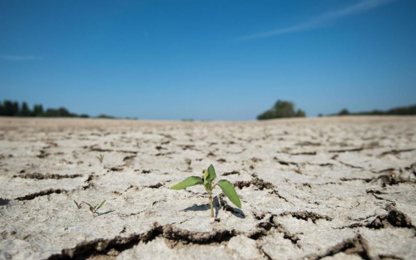 Journ&eacute;e Mondiale de la Terre 2020 : la pand&eacute;mie de Covid-19 n&rsquo;emp&ecirc;che pas la BAD de lutter contre le changement climatique