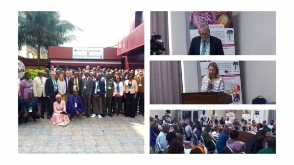 C&ocirc;te d&rsquo;Ivoire-Cacao durable : le CIRAD, l&rsquo;UE et l&rsquo;AFD pr&eacute;sentent les r&eacute;sultats du projet "Cocoa4Future" &agrave; Abidjan