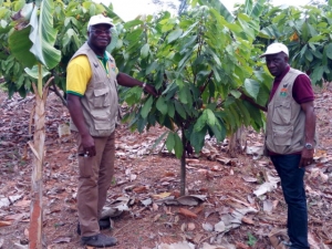 Les agents de l'ANADER Adzop&eacute;