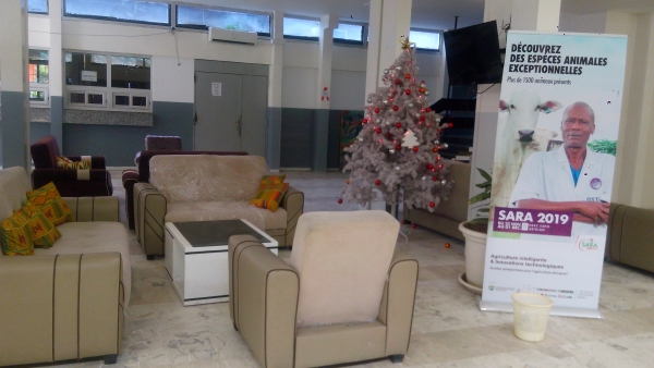 C&ocirc;te d&rsquo;Ivoire : voici le nouveau visage du hall d&rsquo;accueil du minist&egrave;re de la fonction publique. Des agents se sentent l&eacute;s&eacute;s