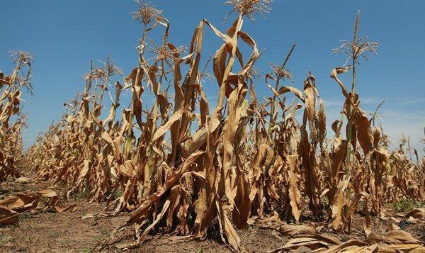 Dossier-S&eacute;cheresse : Entre inflation et catastrophes, la C&ocirc;te d&rsquo;Ivoire durement frapp&eacute;e par El Ni&ntilde;o
