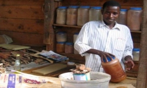 M&eacute;decine traditionnelle : la C&ocirc;te d&rsquo;Ivoire, pionni&egrave;re en Afrique