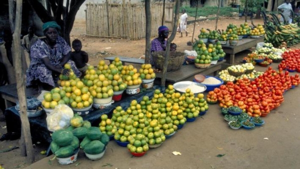 Lutte contre la chert&eacute; de la vie : le pr&eacute;sident du Club &laquo; Les Amis de la Paix &raquo; f&eacute;licite Alassane Ouattara pour ses grandes d&eacute;cisions