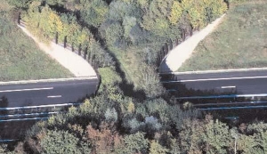 Une vue du couloir &eacute;cologique